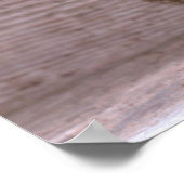 Guinese varken poster (Hoek)