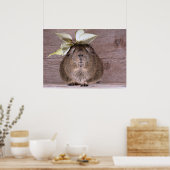 Guinese varken poster (Keuken)