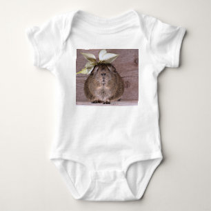 Guinese varken romper