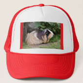 Guinese varken trucker pet (Voorkant)