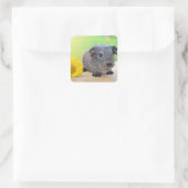Guinese varken vierkante sticker (Tas)
