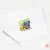 Guinese varken vierkante sticker (Envelop)