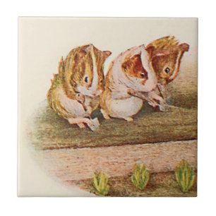 Guinese Varkens Gardening Deel 1 van 2 Tegeltje