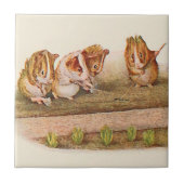 Guinese varkens in de tuinalternatieven tegeltje (Voorkant)