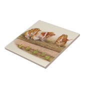 Guinese varkens in de tuinalternatieven tegeltje (Zijkant)