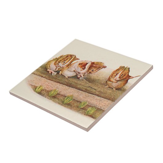 Guinese varkens in de tuinalternatieven tegeltje (Zijkant)