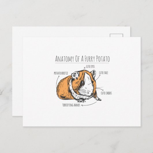 Guinese varkensanatomie briefkaart (Voorkant / Achterkant)