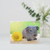 Guinese varkensgele bloem briefkaart (Staand voorkant)