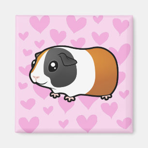 Guinese varkensliefde (glad haar) magneet