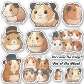 Guinese Varkensplaat van de Wiek, Stickers van de  (Voorkant)