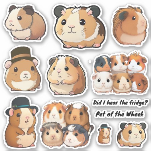 Guinese Varkensplaat van de Wiek, Stickers van de  (Voorkant)