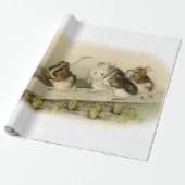 "Guinese varkenstuin" door Beatrix Potter Cadeaupapier (Uitgerold)