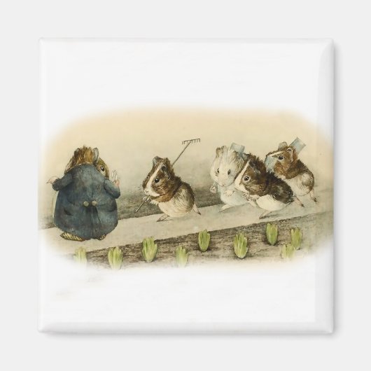 "Guinese varkenstuin" door Beatrix Potter Magneet (Voorkant)