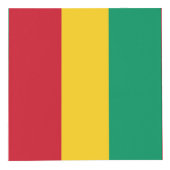 Guinese vlag kubus (Rechts)