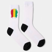 Guinese vlag sokken (Rechts)