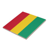 Guinese vlag tegeltje (Zijkant)