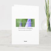 Guitar Birthday Kaart (Achterkant)