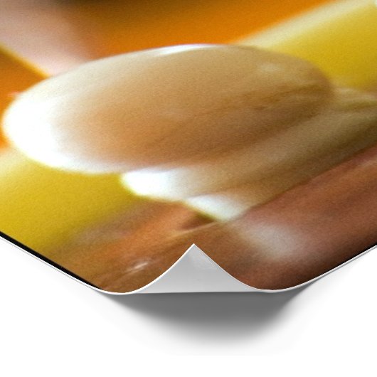 Guitar Bridge Poster (Hoek)