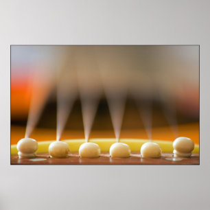 Guitar Bridge Poster