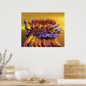 Guitar Frenzy Poster (Keuken)