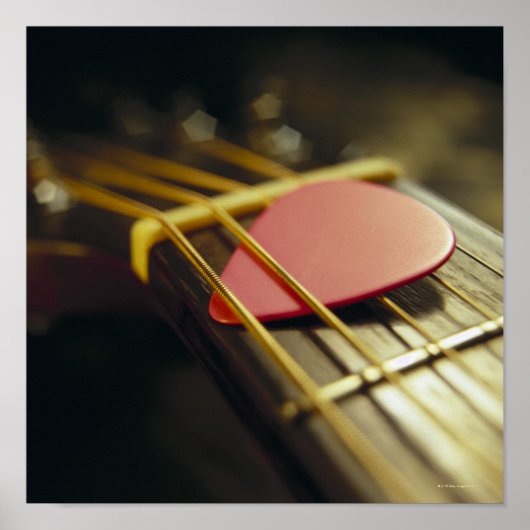 Guitar Pick Poster (Voorkant)