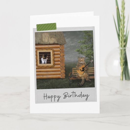 Guitar Serenade Cats Funny Birthday Card Kaart (Voorkant)