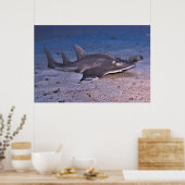 Guitar Shark Poster (Keuken)