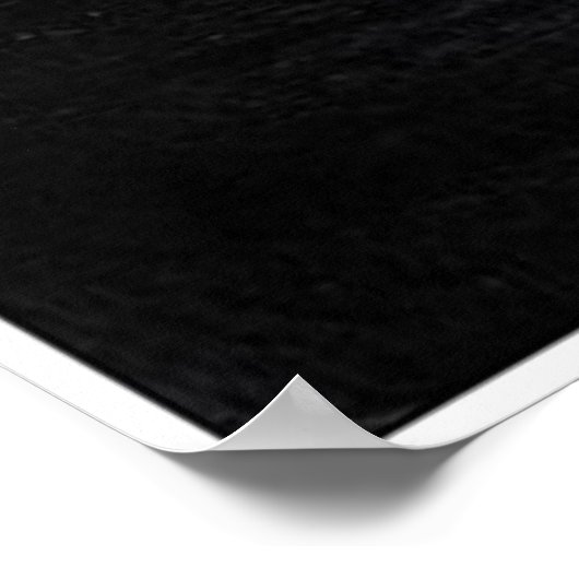 Guitar Strings Canvas BW Poster (Hoek)