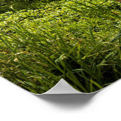 Guizhou, schilderachtig foto van China, Poster (Hoek)