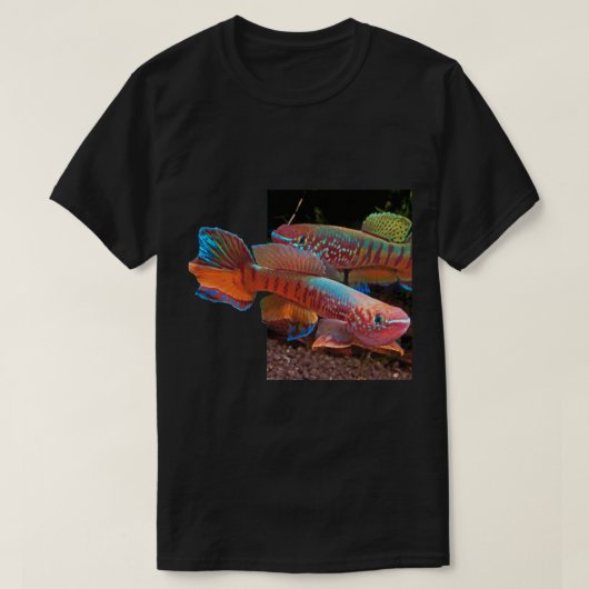 Gularis Killifish on Black T-shirt (Design voorkant)