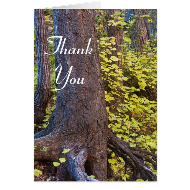 Gulden bladeren op de westvorkstrook. Met vriendel (Voorkant)