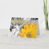 Gulden Gerbera Daisy op zwarte dag in ruste Kaart (Voorkant)