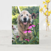 Gulden klokkenluider glimlachen tussen roze bloeme kaart (Gele Bloem)