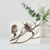 Gulden konijnen (mannen en vrouw) briefkaart (Staand voorkant)