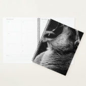 gulden planner (Display)