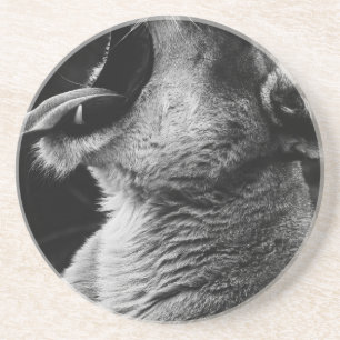 gulden zandsteen onderzetter