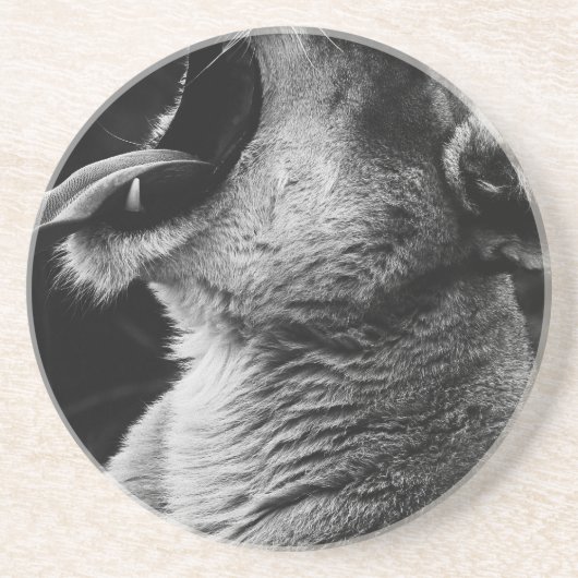 gulden zandsteen onderzetter (Voorkant)