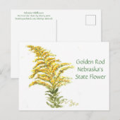 Guldenroede, briefkaart (Voorkant / Achterkant)