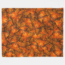 Gulf fritillair of Passion butterflies oranje