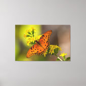 Gulf Fritillary aka Passion Butterfly on Goldenrod Canvas Afdruk (Voorkant)