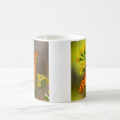 Gulf Fritillary aka Passion Butterfly on Goldenrod Koffiemok (Center)