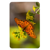 Gulf Fritillary aka Passion Butterfly on Goldenrod Magneet (Verticaal)