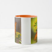 Gulf Fritillary aka Passion Butterfly on Goldenrod Mok (Midden)