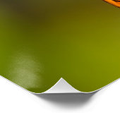 Gulf Fritillary aka Passion Butterfly on Goldenrod Perfect Poster (Hoek)