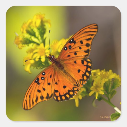 Gulf Fritillary aka Passion Butterfly on Goldenrod Vierkante Sticker (Voorkant)