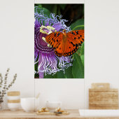 Gulf Fritillary Art Poster -24x36 - andere maten (Keuken)