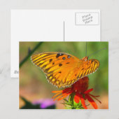 Gulf Fritillary Butterfly and Red Flower Briefkaart (Voorkant / Achterkant)