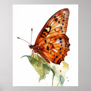 Gulf Fritillary Butterfly Art Print Poster