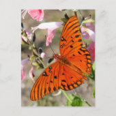 Gulf Fritillary Butterfly Briefkaart (Voorkant)
