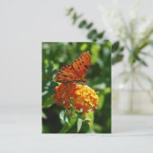 Gulf Fritillary Butterfly Briefkaart (Staand voorkant)